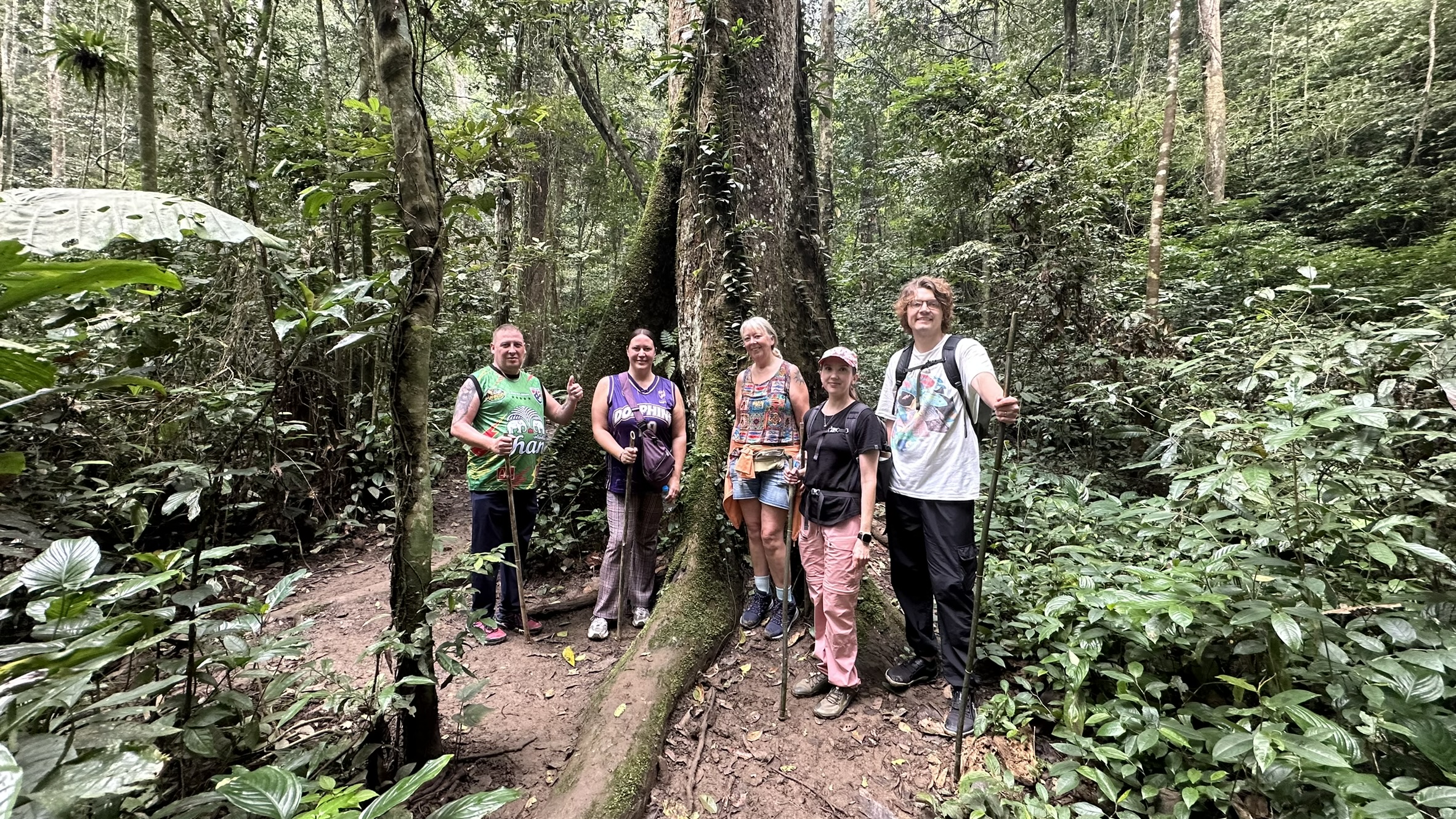 Rescued Moon Bear resting at the Ninh Binh Bear Sanctuary
